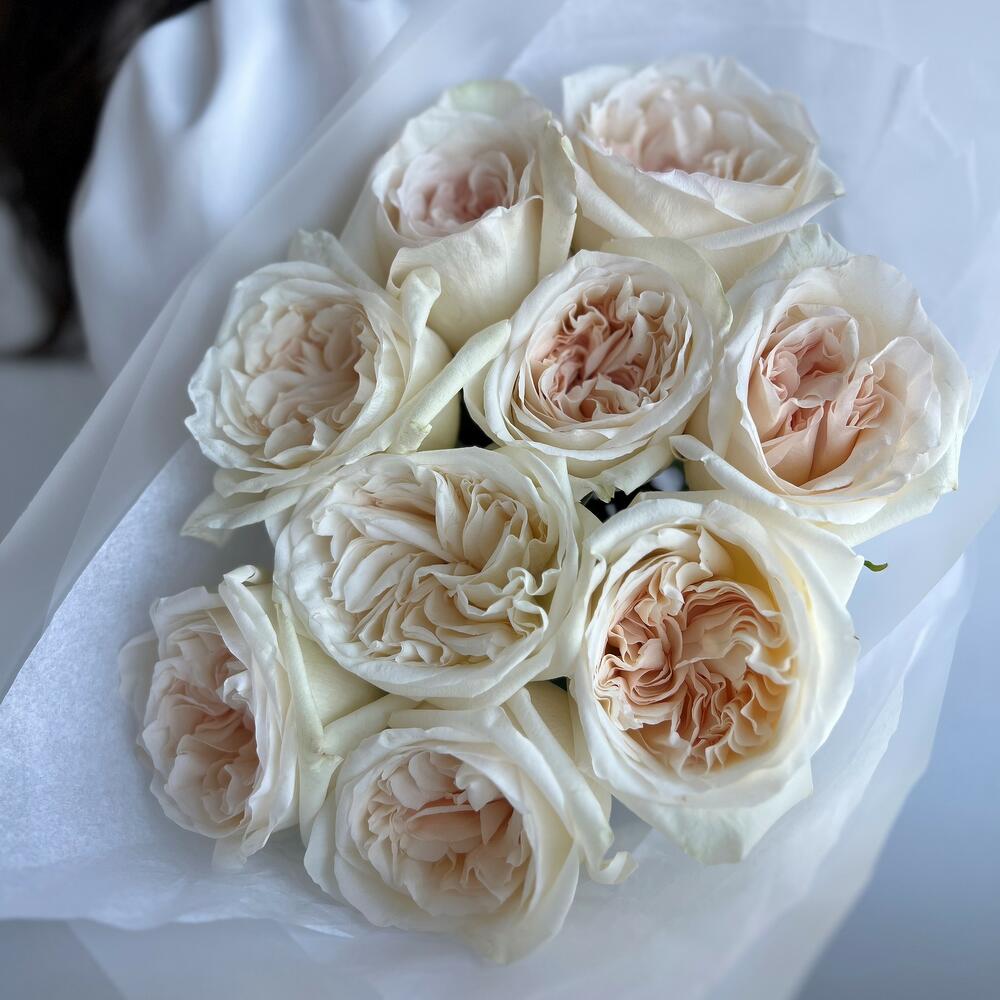 Ароматная пионовидная роза 9 шт (букет N 55)