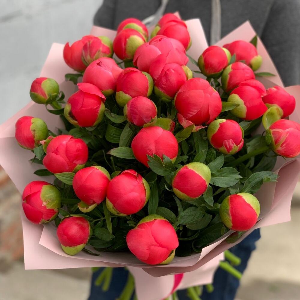 25 пионов Корал Шарм в дизайнерской упаковке 25 пионов Корал Шарм в дизайнерской упаковке